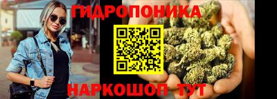 прущие грибы Нарткала