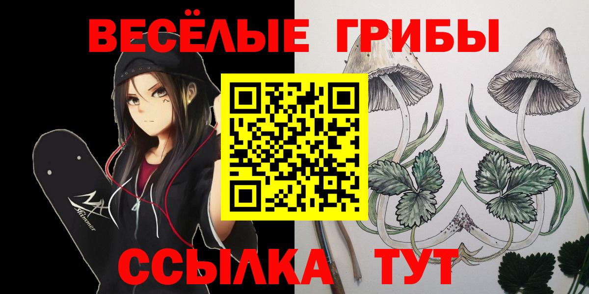 Псилоцибиновые грибы мухоморы  Вход с VPN  Сланцы 