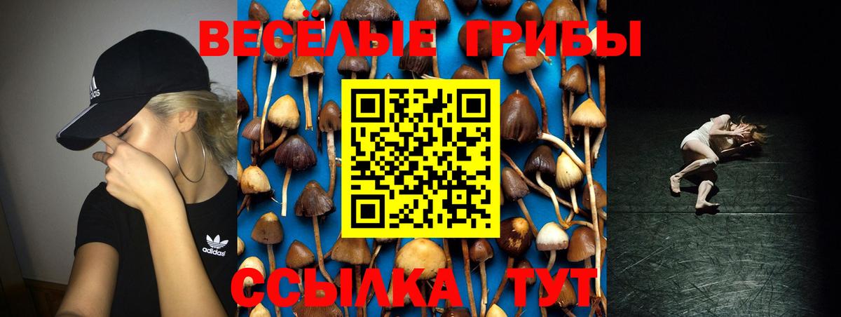 Галлюциногенные грибы ЛСД Сланцы