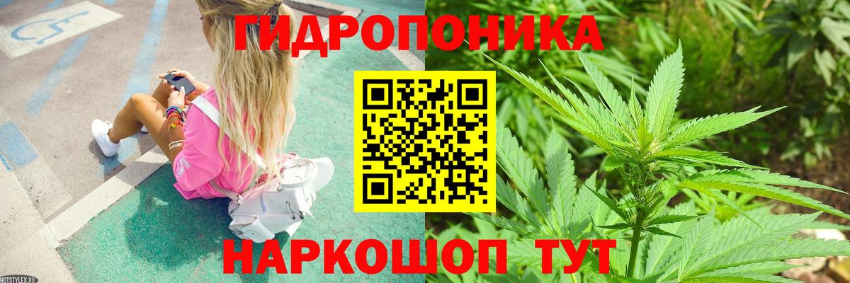 Метадон Сланцы